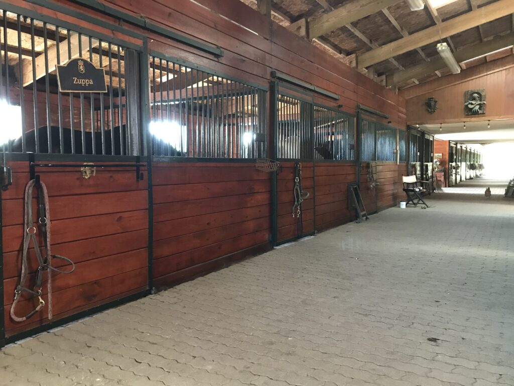 Puterbaugh Equestrian Dressage Facility- Stables